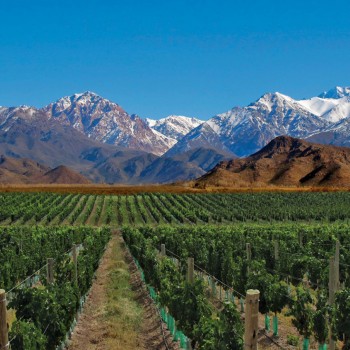 Mendoza Grupal salida 13 de Julio